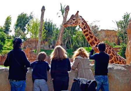 Valencia Bioparc