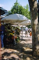 Valencia flower stalls in Plaza del Ayuntamiento