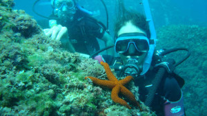 alicante beginners diving