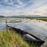 albufera valencia national park