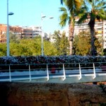 floresbridgevalencia