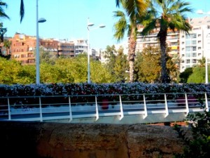 flores bridge valencia