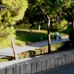 turia gardens in valencia